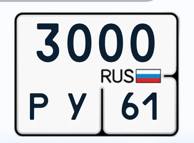 Фото красивого госномера 3000РУ 61