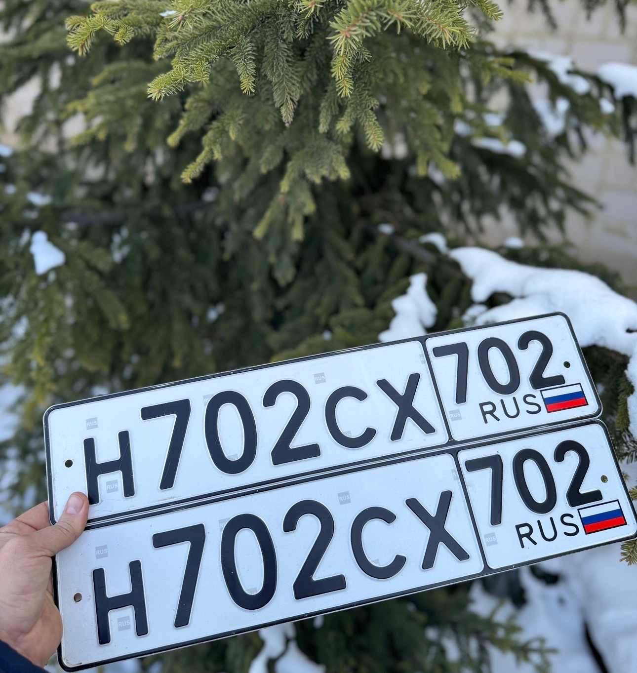 Фото номера