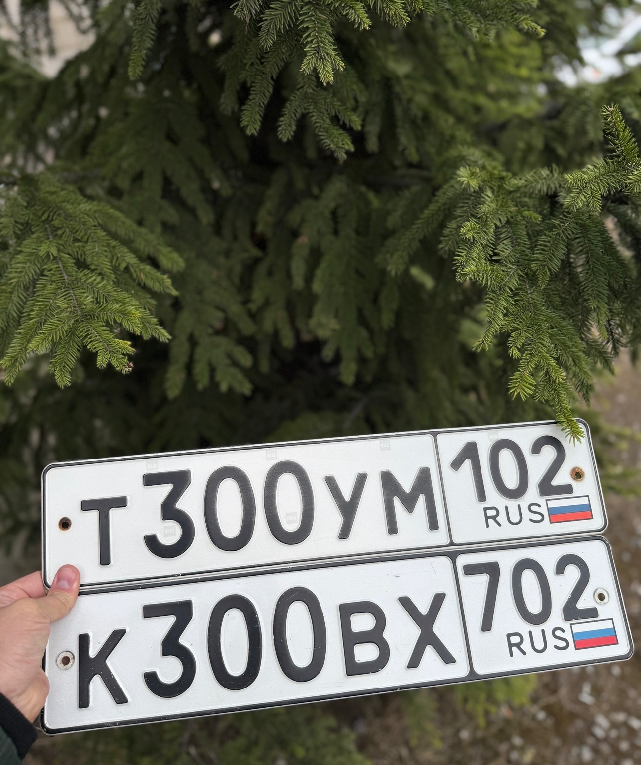 Фото номера