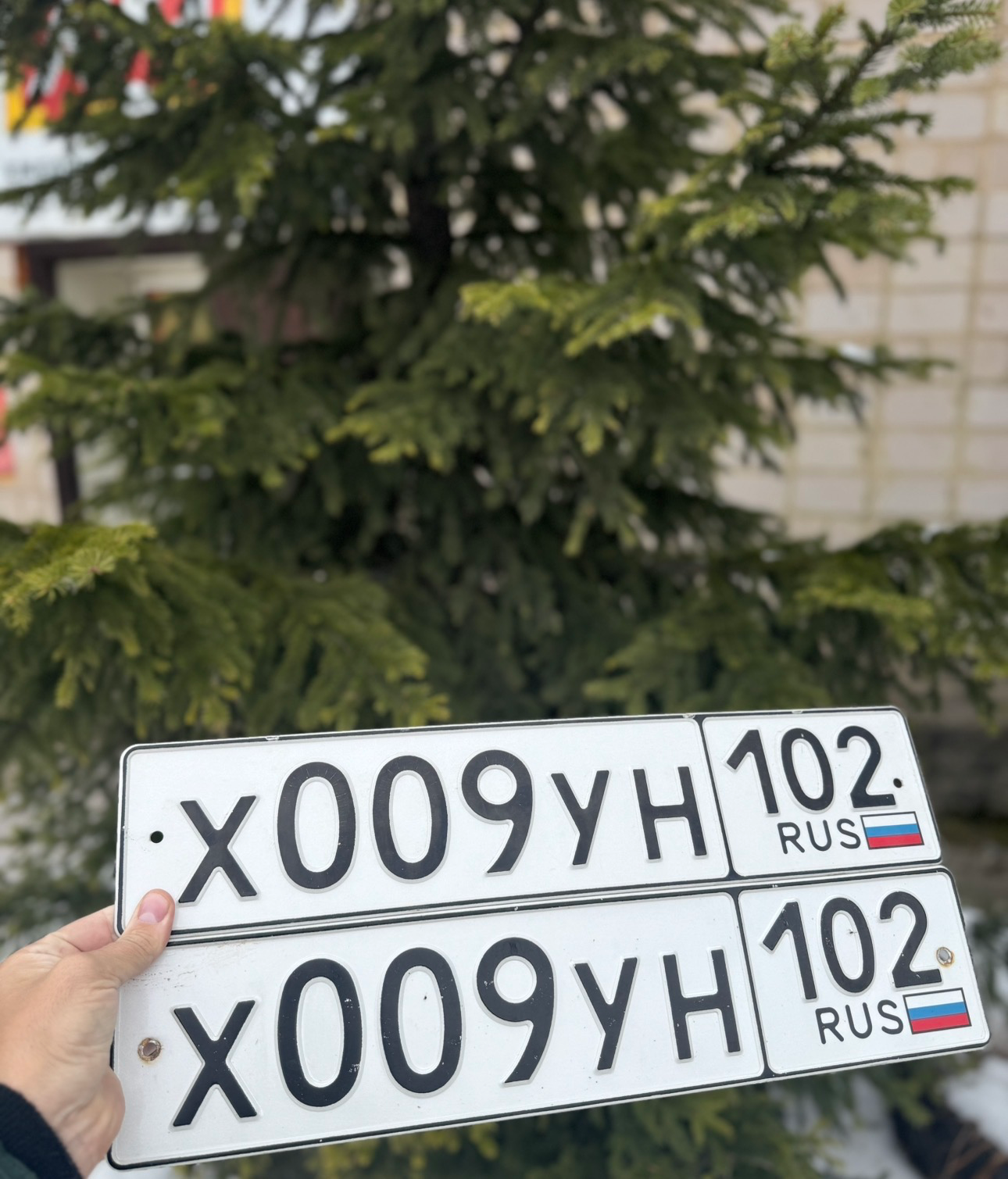 Фото номера