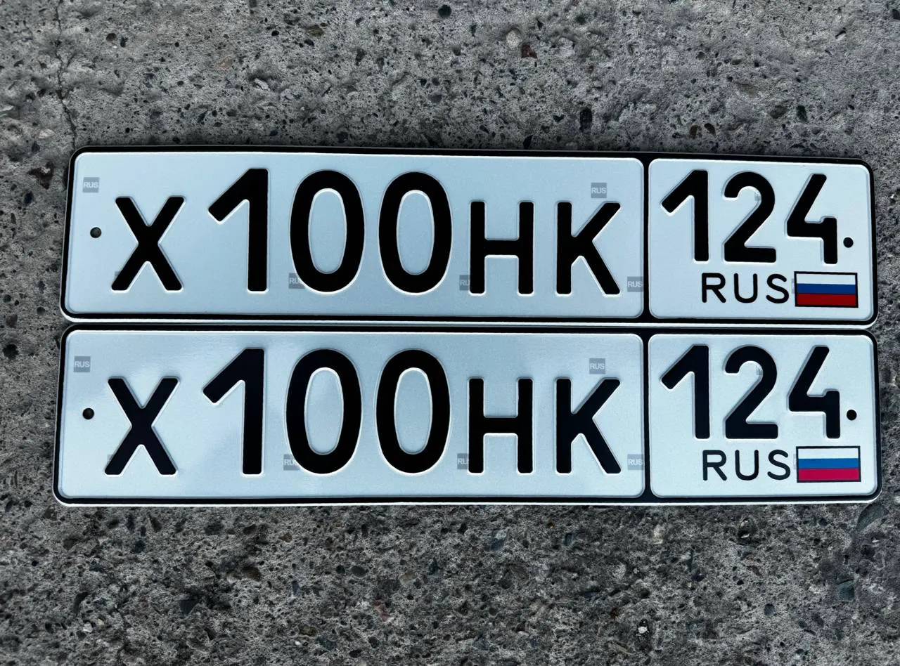 Купить красивый гос номер Х100НК регион 124