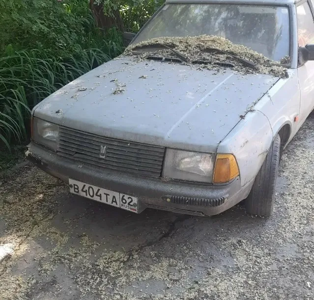 Фото номера